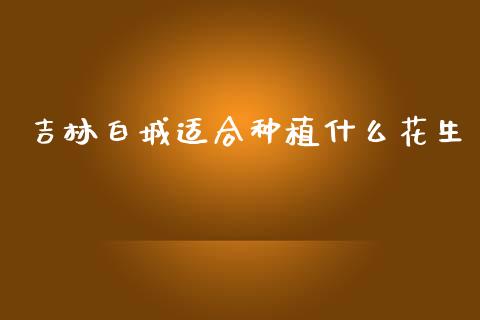 吉林白城适合种植什么花生_https://m.15771688.com_美国道指_第1张