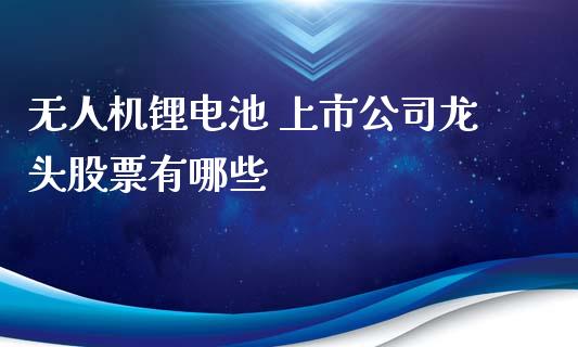 无人机锂电池 上市公司龙头股票有哪些_https://m.15771688.com_道指实时行情_第1张