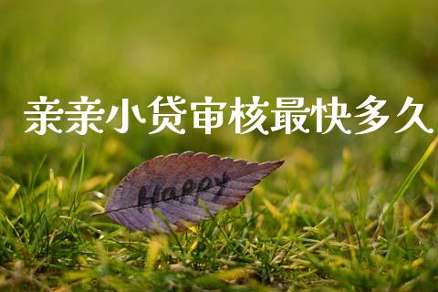 亲亲小贷审核最快多久_https://m.15771688.com_美国道指_第1张