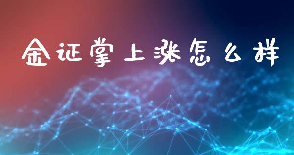 金证掌上涨怎么样_https://m.15771688.com_美国道指_第1张