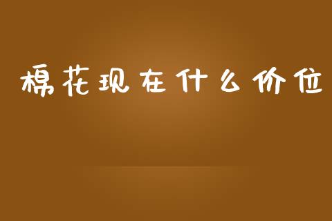 棉花现在什么价位_https://m.15771688.com_期货手续费_第1张