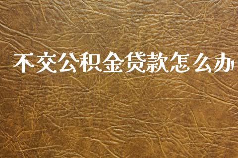 不交公积金贷款怎么办_https://m.15771688.com_期货开户_第1张