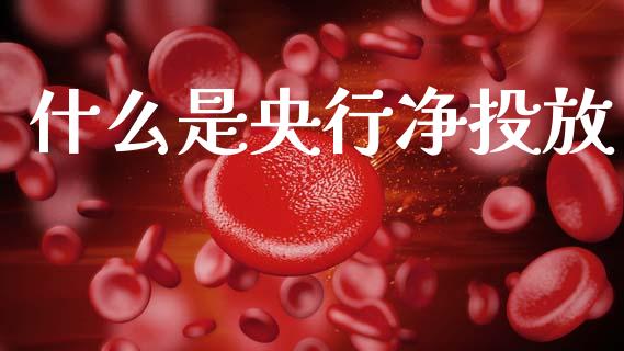 什么是央行净投放_https://m.15771688.com_期货开户_第1张