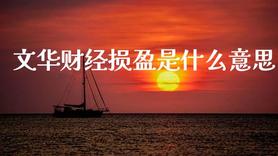 文华财经损盈是什么意思_https://m.15771688.com_期货开户_第1张