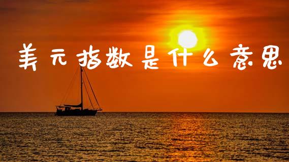 美元指数是什么意思_https://m.15771688.com_美国道指_第1张