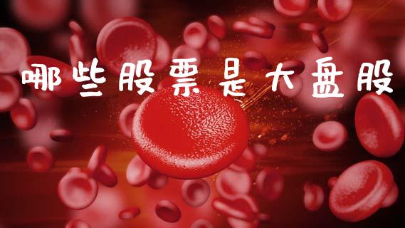 哪些股票是大盘股_https://m.15771688.com_美国道指_第1张