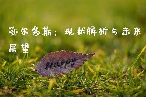 鄂尔多斯：现状解析与未来展望_https://m.15771688.com_期货手续费_第1张