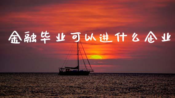 金融毕业可以进什么企业_https://m.15771688.com_期货开户_第1张