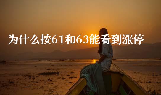 为什么按61和63能看到涨停_https://m.15771688.com_美国道指_第1张