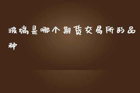 玻璃是哪个期货交易所的品种_https://m.15771688.com_期货开户_第1张