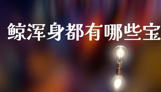 鲸浑身都有哪些宝_https://m.15771688.com_期货开户_第1张