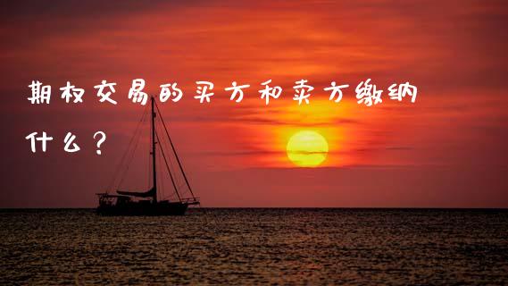 期权交易的买方和卖方缴纳什么？_https://m.15771688.com_期货手续费_第1张