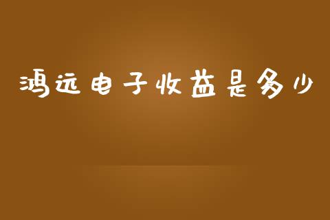 鸿远电子收益是多少_https://m.15771688.com_道指实时行情_第1张