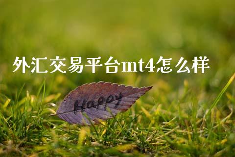 外汇交易平台mt4怎么样_https://m.15771688.com_期货手续费_第1张