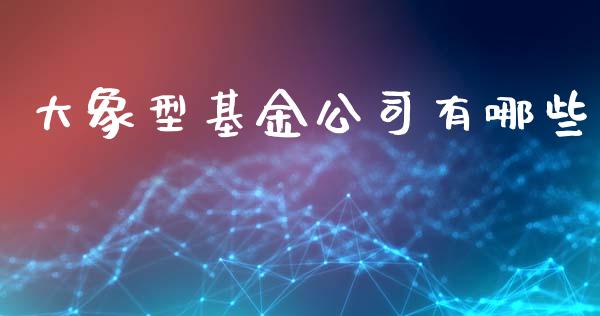 大象型基金公司有哪些_https://m.15771688.com_道指实时行情_第1张