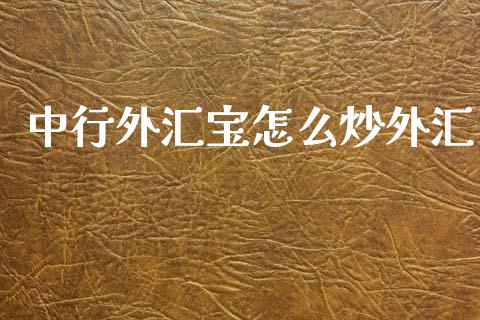 中行外汇宝怎么炒外汇_https://m.15771688.com_期货手续费_第1张