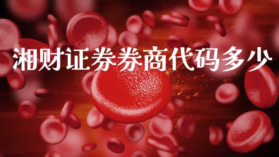 湘财证券券商代码多少_https://m.15771688.com_美国道指_第1张
