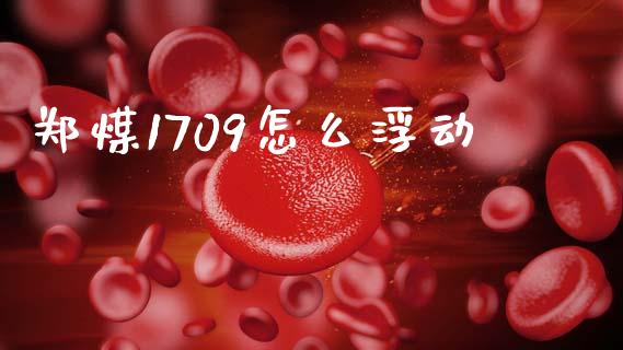 郑煤1709怎么浮动_https://m.15771688.com_美国道指_第1张