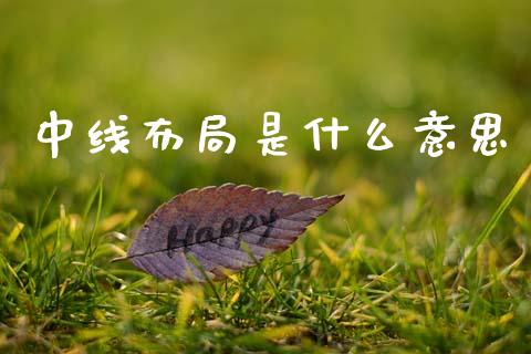 中线布局是什么意思_https://m.15771688.com_期货开户_第1张