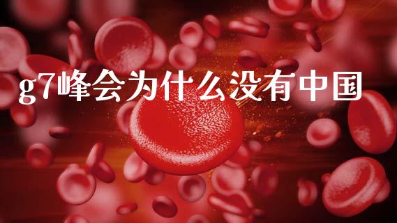g7峰会为什么没有中国_https://m.15771688.com_期货开户_第1张