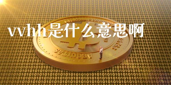 vvhh是什么意思啊_https://m.15771688.com_期货开户_第1张