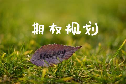 期权规划_https://m.15771688.com_期货开户_第1张