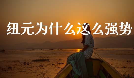 纽元为什么这么强势_https://m.15771688.com_期货手续费_第1张