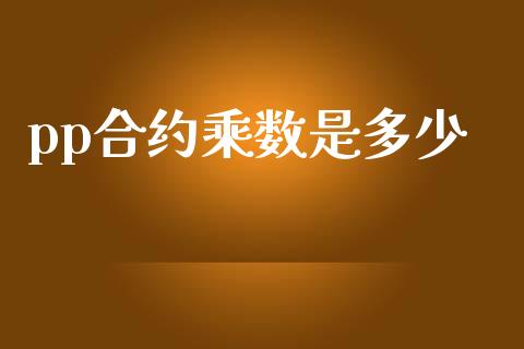 pp合约乘数是多少_https://m.15771688.com_道指实时行情_第1张