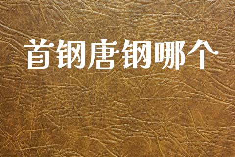 首钢唐钢哪个_https://m.15771688.com_期货开户_第1张