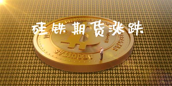 硅铁期货涨跌_https://m.15771688.com_期货手续费_第1张