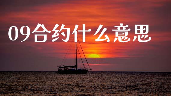09合约什么意思_https://m.15771688.com_期货手续费_第1张