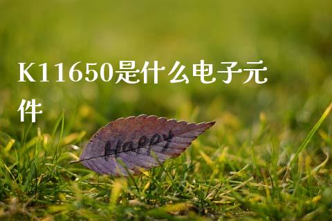 K11650是什么电子元件_https://m.15771688.com_期货开户_第1张