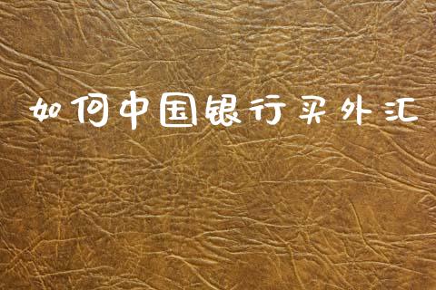 如何中国银行买外汇_期货手续费_第1张_期货开户_期货手续费_道指实时行情_美国道指 如何中国银行买外汇_https://m.15771688.com_期货手续费_第1张