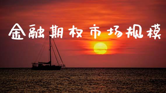 金融期权市场规模_https://m.15771688.com_期货开户_第1张