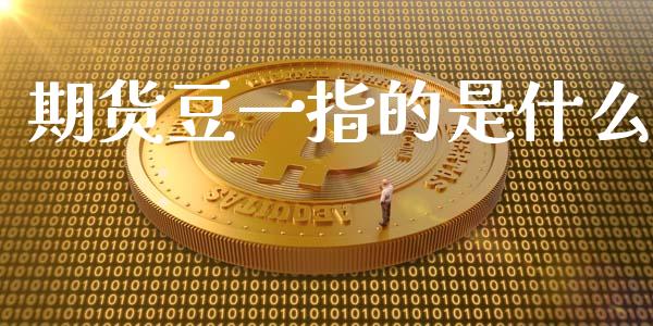 期货豆一指的是什么_https://m.15771688.com_期货手续费_第1张