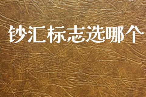 钞汇标志选哪个_https://m.15771688.com_美国道指_第1张