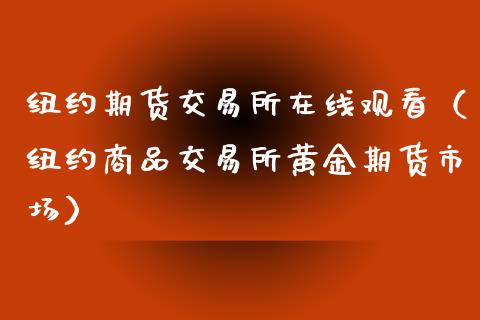 纽约期货交易所在线观看（纽约商品交易所黄金期货市场）_https://m.15771688.com_期货开户_第1张