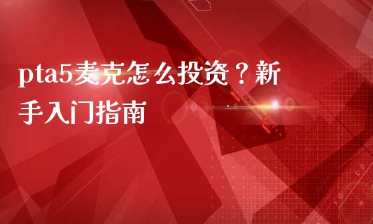 pta5麦克怎么投资？新手入门指南_https://m.15771688.com_美国道指_第1张