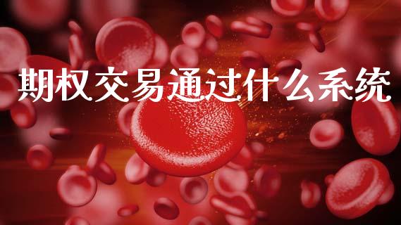 期权交易通过什么系统_https://m.15771688.com_道指实时行情_第1张