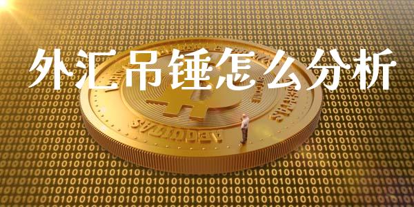 外汇吊锤怎么分析_https://m.15771688.com_期货开户_第1张