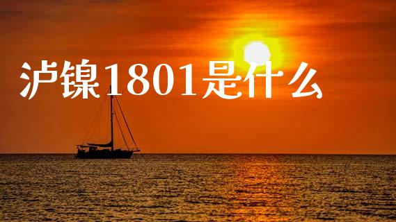 泸镍1801是什么_https://m.15771688.com_道指实时行情_第1张