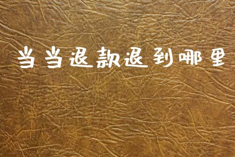 当当退款退到哪里_https://m.15771688.com_美国道指_第1张