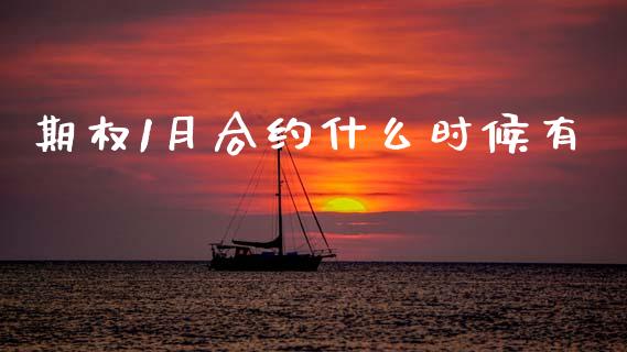 期权1月合约什么时候有_https://m.15771688.com_道指实时行情_第1张