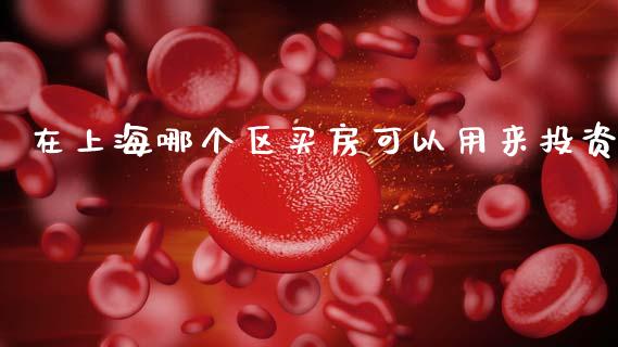 在上海哪个区买房可以用来投资_https://m.15771688.com_期货开户_第1张