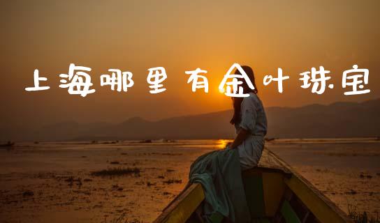 上海哪里有金叶珠宝_https://m.15771688.com_美国道指_第1张