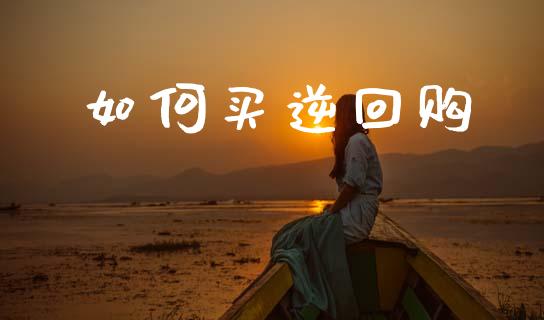 如何买逆回购_https://m.15771688.com_期货开户_第1张