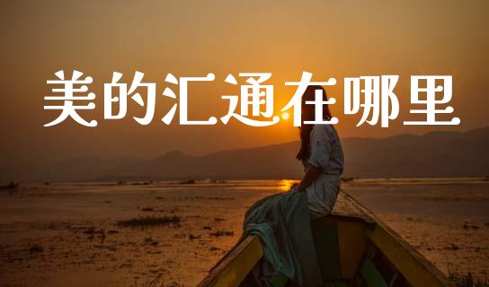 美的汇通在哪里_https://m.15771688.com_期货开户_第1张