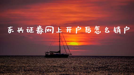 东兴证券网上开户后怎么销户_https://m.15771688.com_美国道指_第1张