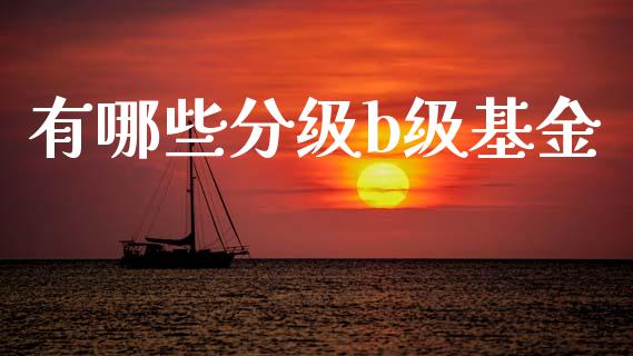 有哪些分级b级基金_https://m.15771688.com_期货手续费_第1张