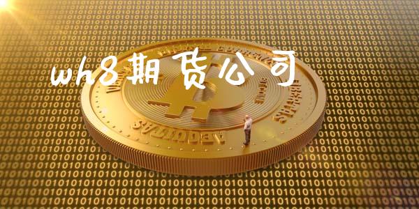 wh8期货公司_https://m.15771688.com_期货开户_第1张